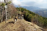 35 Dalla pineta di alti pini mughi passiamo al bosco di latifoglie